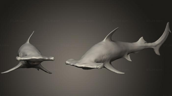 Статуэтки животных (Акула-молот, STKJ_1049) 3D модель для ЧПУ станка